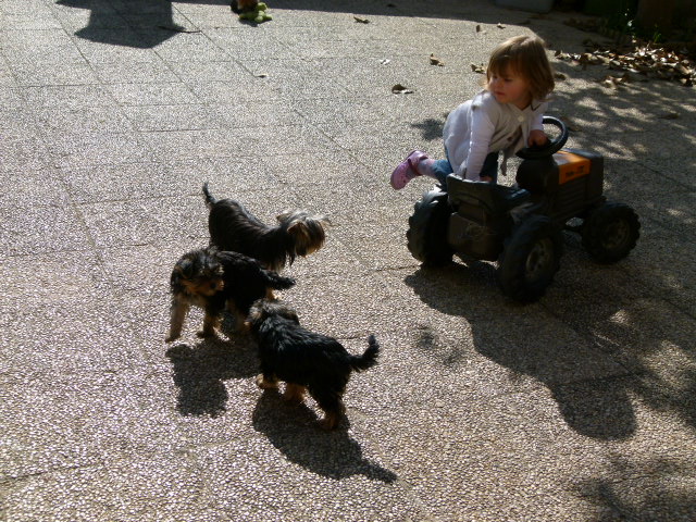 Mes doudous